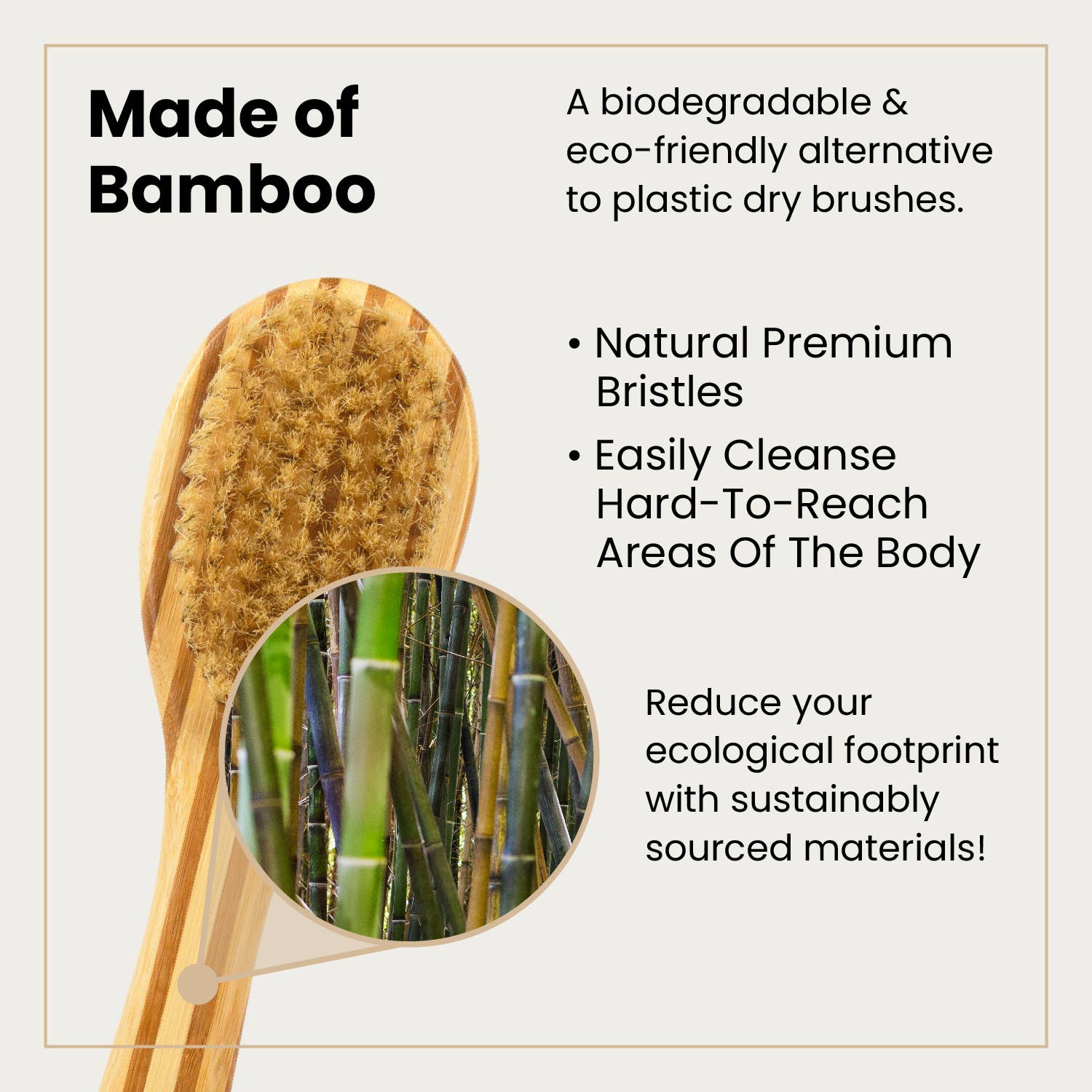 Bamboo Dry Brush with Long Handles