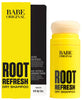 Root Refresh Dry Shampoo